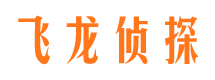 镇安侦探公司